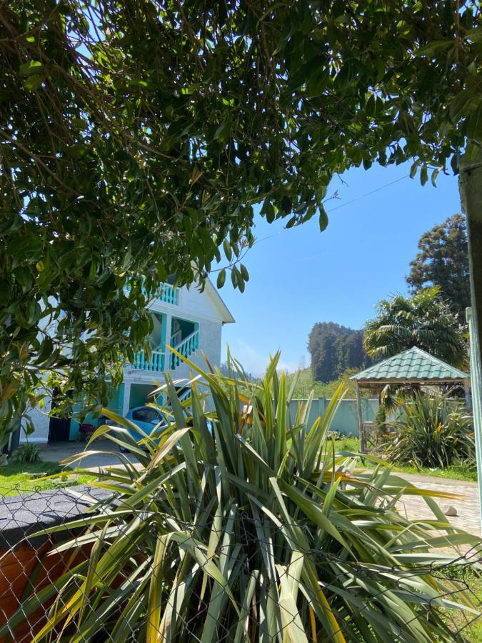 Homestay In Batumi Дом В Чакви Eksteriør bilde